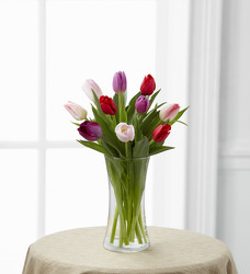 Tender Tulips Bouquet from Arthur Pfeil Smart Flowers in San Antonio, TX